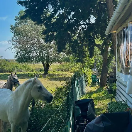 Campsite De L'arnel Villeneuve-les-Maguelonne